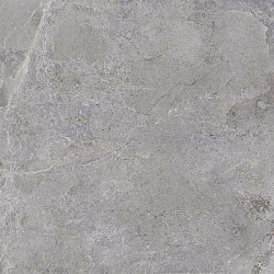 60 x 60 x 2 cm - Evolution Grey Keramische tegels