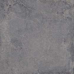 60 x 60 x 2 cm - Evolution Titanium Keramische tegels