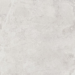 60 x 60 x 2 cm - Evolution White Keramische tegels