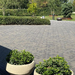 DF60 Lucca antica Zwart zilverzand 6,7x20,4x6 Getrommeld Gebakken klinkers