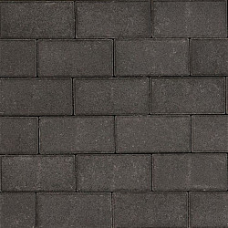 Tremico 6cm 20x30cm Antraciet Beton tegels