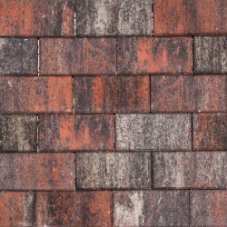 Tremico Twents Bont 30x60x6 Beton tegels