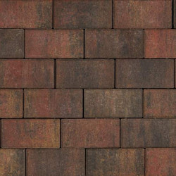 Tremico dikformaat Bont 6.7x20x6 Beton klinkers