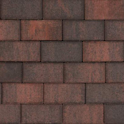 Tremico waalformaat Rood/Zwart 5x20x6 Beton klinkers