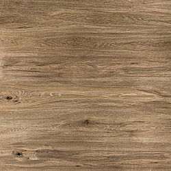 GeoProArte Wood Dark Oak 30x120x6 Beton tegels
