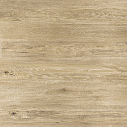 GeoProArte Wood Yellow Oak 30x120x6 Beton tegels