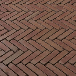 WF60 Roma antica Rood genuanceerd 5x20,4x6 Getrommeld Gebakken klinkers