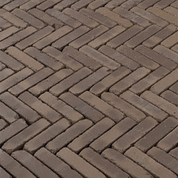 WF60 Verona antica Bruin genuanceerd 5x20,4x6 Getrommeld Gebakken klinkers
