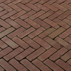 DF60 Roma antica Rood genuanceerd 6,7x20,4x6 Getrommeld Gebakken klinkers