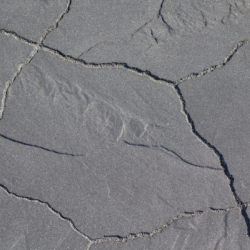 GeoArdesia Alivo Cannobio 46x57x6 Beton tegels