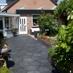 GeoArdesia Alivo Milano 46x57x6 Beton tegels