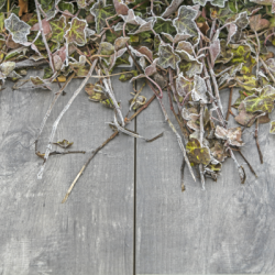 GeoCeramica Timber Grigio 40x80x4 Keramische tegels