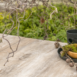 GeoCeramica Timber Noce 40x80x4 Keramische tegels