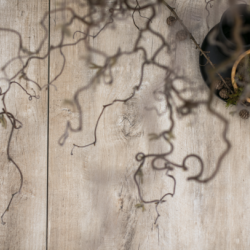 GeoCeramica Timber Tortera 40x80x4 Keramische tegels