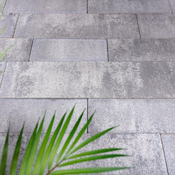 Lineair wildverband (GeoStretto 7 cm) Elba Beton tegels