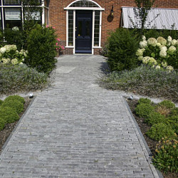 Waalformaat blue moon honed anticato Blauw-grijs 5x20x5 Natuursteen tegels 