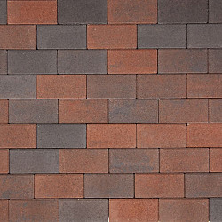Betonklinkers Rood-zwart 10,5x21x8 Beton klinkers