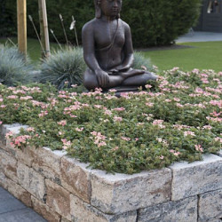 Combiwall Splitton Uno Kilimanjaro 15x30x12 Getrommeld,4 zijden gekloofd muurelement Stapelblokken
