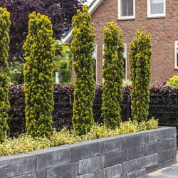 Blockstone Black 15x15x60 Getrommeld muurelement Stapelblokken
