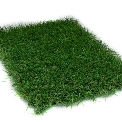 Kunstgras Perfection 60   4 meter breed Kunstgras