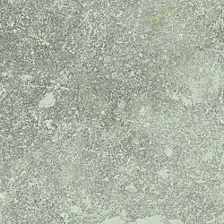 Sand Stone Grigio 60x120x2 Keramische tegels