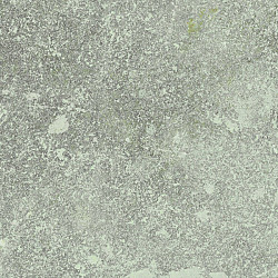 Sand Stone Grigio 40x80x2 Keramische tegels