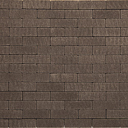 Retro Natura Old Paris 5x20x8 Betonklinkers