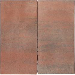 Tremico Oud Bont 30x60x6 Beton tegels