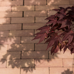 Strackstone+ Wijnrood-oker 7x21x8 Beton klinkers