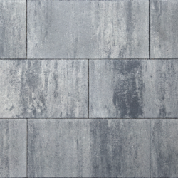 Tremico 6cm 30x60cm Zeeuws bont Beton tegels