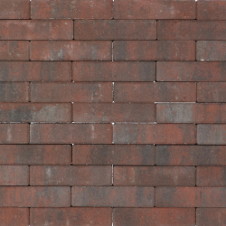 Tremico waalformaat Twents Bont 5x20x6 Beton klinkers