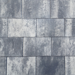 Tremico 6cm 20x30cm Zeeuws bont Beton tegels