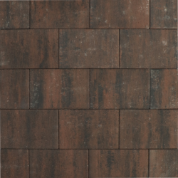 Tremico Brons 20x30x6 Beton tegels