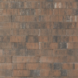 Tremico waalformaat Texels Bont 5x20x6 Beton klinkers