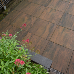 Tremico Brons 60x60x6 Beton tegels