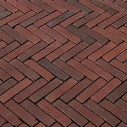 WF60 Novara antica Rood-bruin genuanceerd 5x20,4x6 Getrommeld Gebakken klinkers