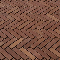 WF60 Roma antica Rood genuanceerd 5x20,4x6 Getrommeld Gebakken klinkers