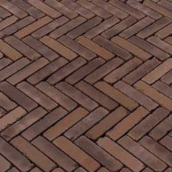 WF60 Verona antica Bruin genuanceerd 5x20,4x6 Getrommeld Gebakken klinkers