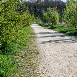 Losgestort Achterhoeks padvast 0-6 mm toplaag Halfverharding 