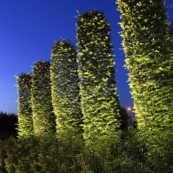 Spot Big scope narrow - lichtbereik 14m Buitenspots 