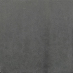 Optimum tuintegel Antraciet 60x60x4 ZF Beton tegels