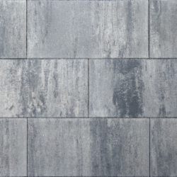 Tremico 6cm 30x60cm Zeeuws bont Beton tegels