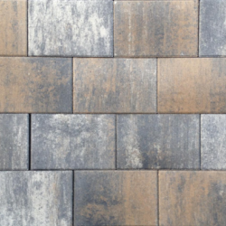 Tremico 6cm 20x30cm Texels bont Beton tegels