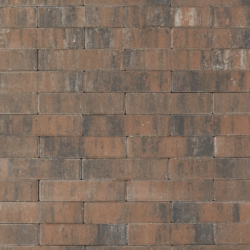 Tremico waalformaat Texels Bont 5x20x6 Beton klinkers