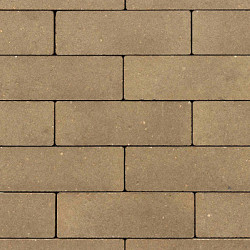 GeoRetron Privato 20x5x6 Rosendael Betonklinkers