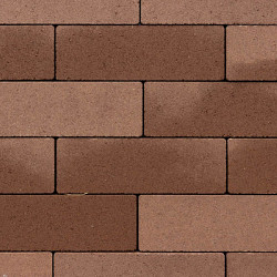 GeoRetron Privato 20x5x6 Loevestein Betonklinkers