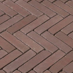 WF60 Klassiek roodbruin Rood-bruin genuanceerd 5x20,4x6 Getrommeld Gebakken klinkers