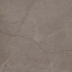 Beste koop uni Light Brown 60x60x3 Keramische tegels
