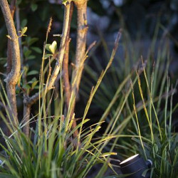 Spot Mini scope - lichtbereik 3m Buitenspots 