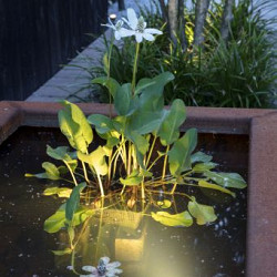 Spot Sub - lichtbereik 5m Buitenspots 